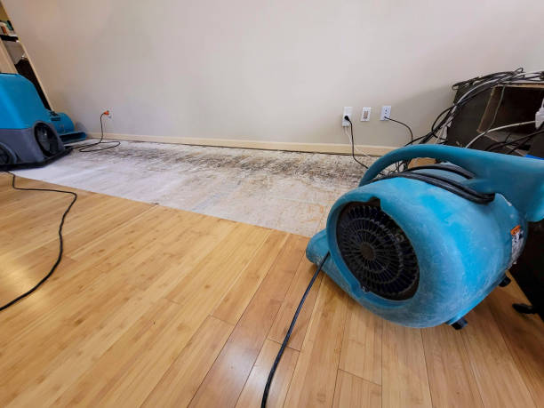 Professional Basement Flood Cleanup technician working in Smith, NV